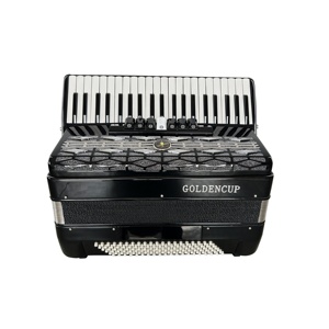 SEASOUND OEM 41-Key 120-Bass Chromatic Button Accordion 7+2 Registers Black Celluloid Wood Piano Keyboard Instrument JP2008 - Product Image 3