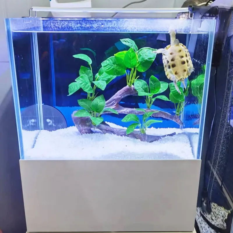 Gold small fish tank nerd wax stop sliding glasses come visto su shark tank piccole tartarughe fish tank home decor