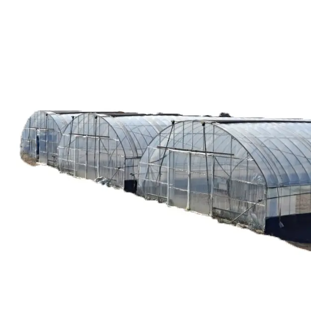 Agricultura excepcional Multi-Span película comercial invernadero sistema hidropónico invernaderos utilizados en invernadero