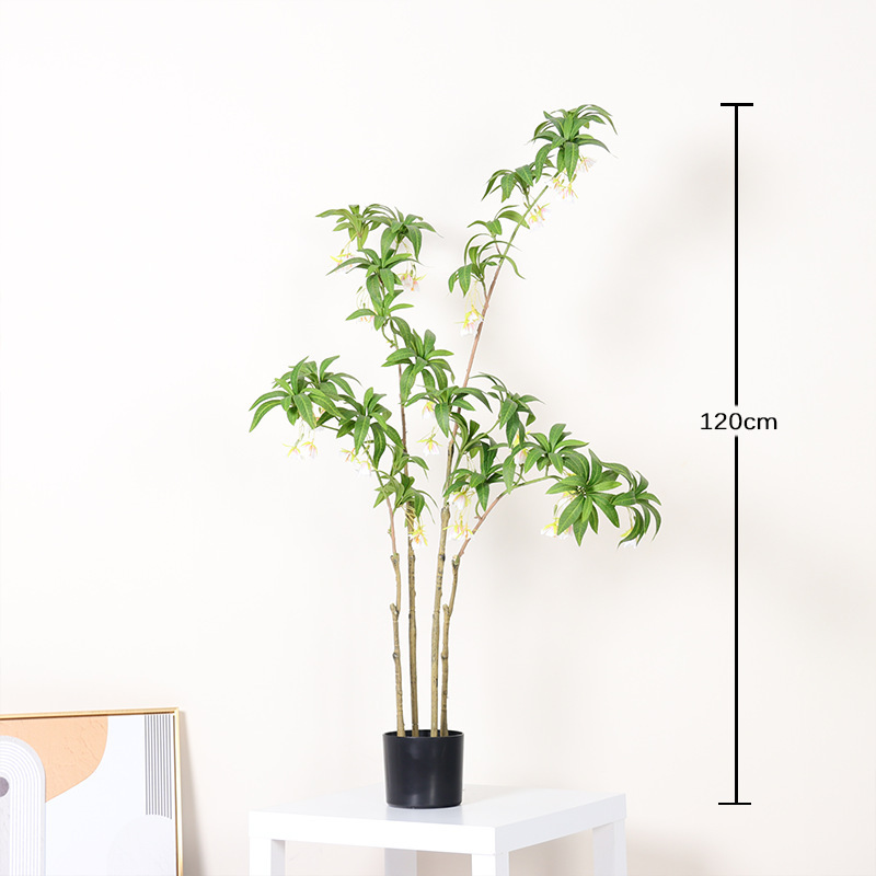 120cm