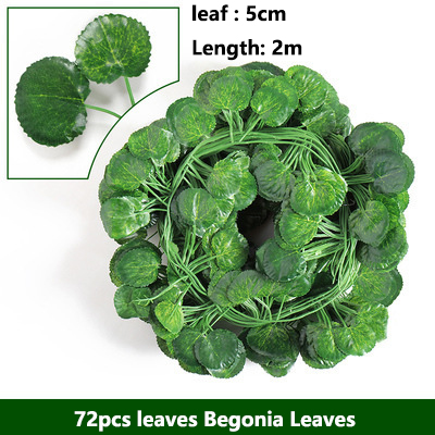 Foglie di begonia