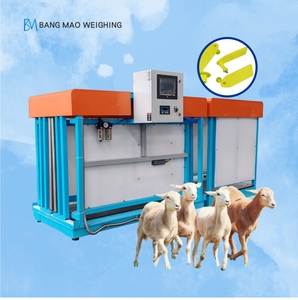 Fabrika doğrudan satış koyun tartı grubu sistemi koyun tartı terazi akıllı hayvancılık ekipmanı - Product Image 1