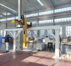 Manipulador de pórtico automático personalizado profesional, Robot de paletización para cargar núcleo de engranaje de descarga, placa de acero de 5 10 toneladas