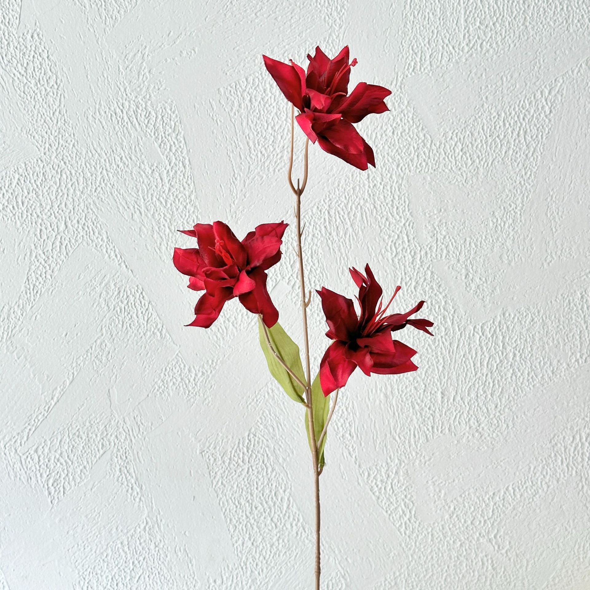 Red three-headed lily