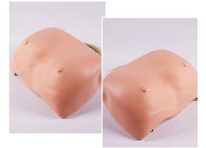 Medical Teaching Manikin Female <strong>Palpation</strong> Wearable Breast Examination Model for Training Comparative Observation Skeleton Model - Product Image 5