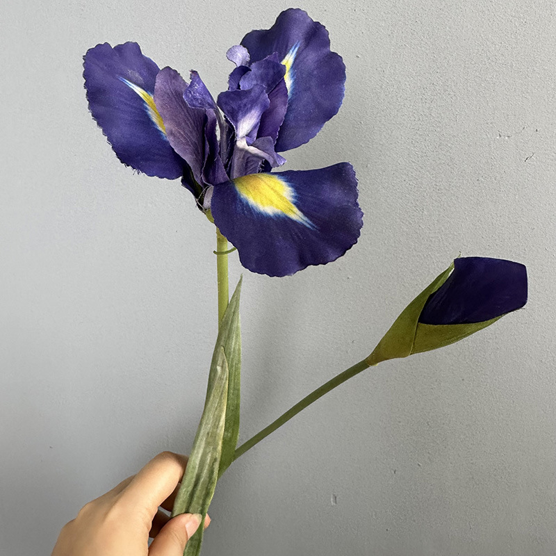 Bleu