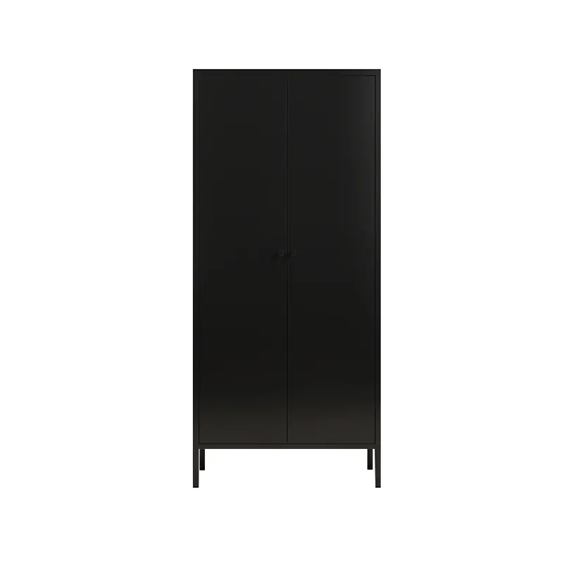 Casier en acier à 2 portes de différentes couleurs, armoire en métal, tissu en acier, armoire almiroah