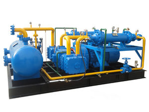 Compressore a pistone a Gas di recupero della palude con scarico di carico alternativo LNG personalizzato - Product Image 3