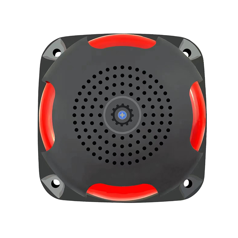 Audible And Visual Alarm
