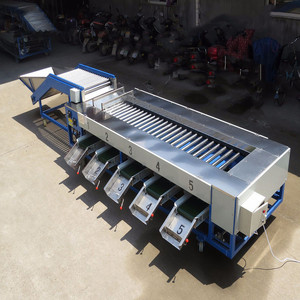 Automatic Orange <strong>Sorting</strong> <strong>Machine</strong>/ Fruit and Vegetable <strong>Sorting</strong> <strong>Machine</strong>/ Potato Grader - Product Image 6