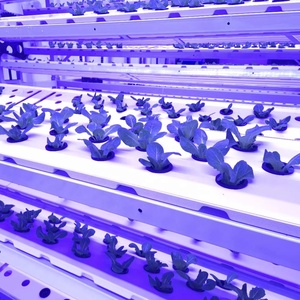 Sistema di controllo automatico idroponico lattuga microgreen con integratore coltiva sistema di illuminazione automatizzato impianto fabbrica contenitore farm - Product Image 1