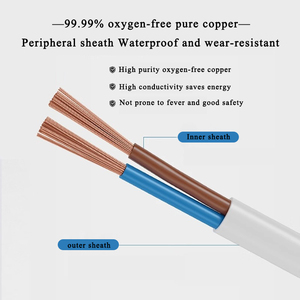 Bakır kablo RVV 2 3 4 5 çekirdekli elektrik kablo tel H05VV-F güç kablosu PVC yalıtım 0.5/0.75/1/1.5/2.5/4/6mm ² katı tip - Product Image 4