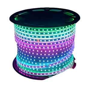 2025新款恒宇24V 12V SMD 5050可寻址RGB柔性发光二极管条DMX512 60LED/m IP68智能语音控制100m/卷5m/卷 - Product Image 1
