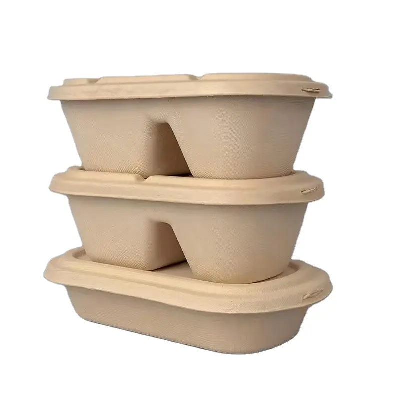 Biologisch abbaubare Zuckerrohrzellstoff-Lebensmittel behälter Multi Compartment Dining Box