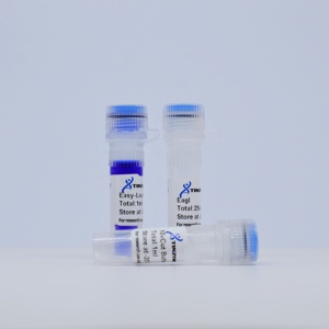 Tinzyme EagI High-quality Restriction Endonuclease Rapid Enzymatic Digestion of Plasmid DNA, PCR Products, or Genomic DNA - Product Image 2