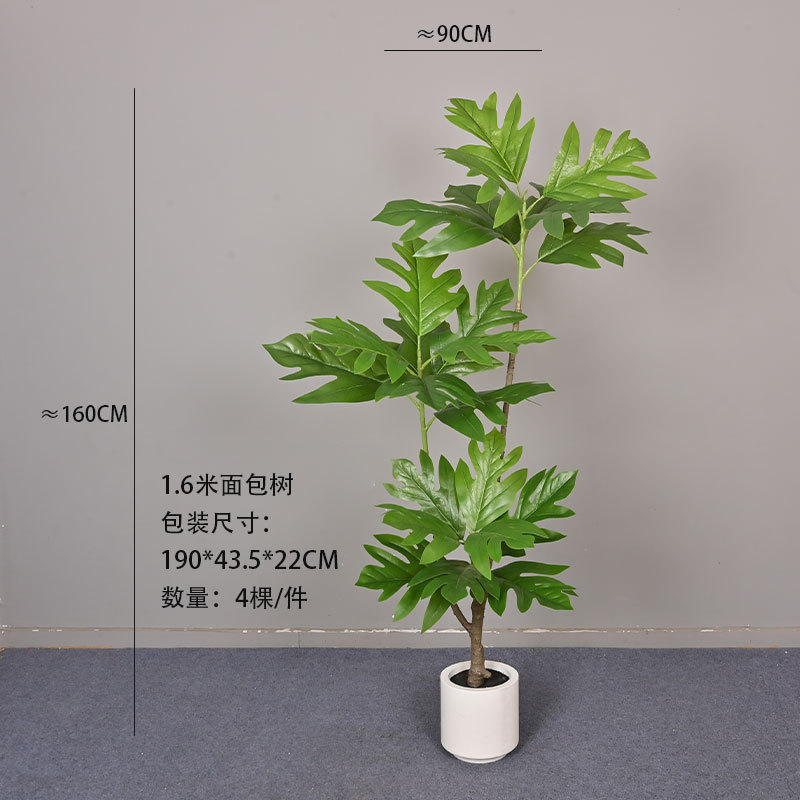 Arbre à pain de 1,6 mètre