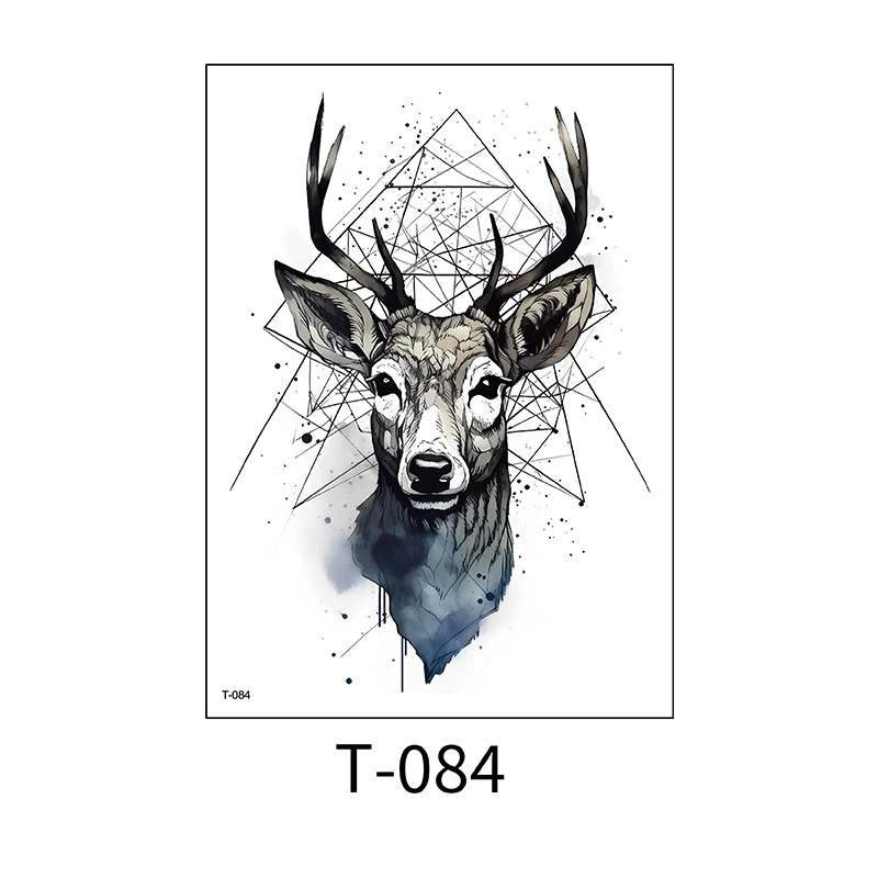 T-084