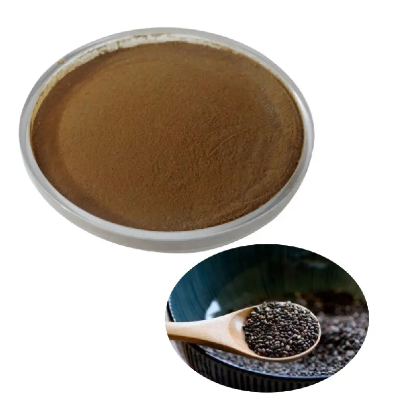 Atacado granel Orgânico Salvia Hispanica Seed Extract Organic Chia Proteína Em Pó Chia Seed Powder