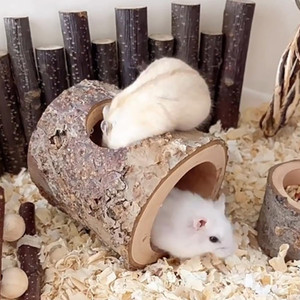 ハムスターマウス、ネズミネズミネズミ、その他の小さなサイズの動物のペットのためのポプラの木の生息地の家の隠れ家 - Product Image 3