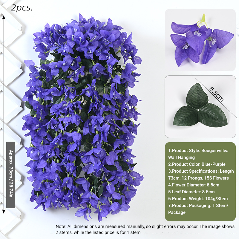 Bougainvillier-bleu-violet