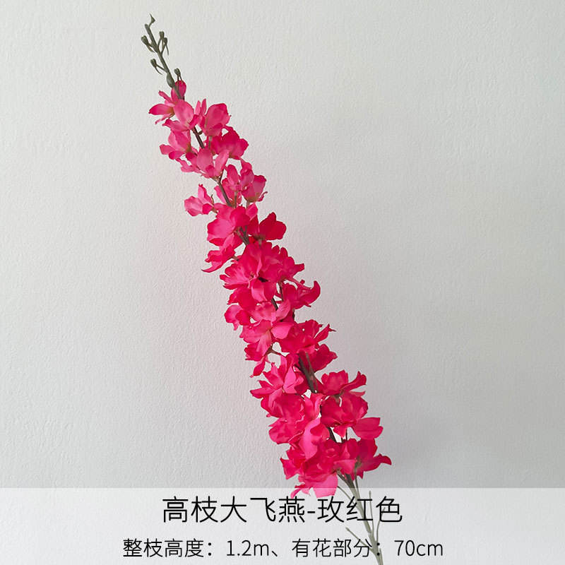 Rose red high branch big flying swallow