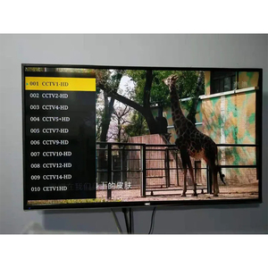 IPTV sunucu canlı akışı ile VOD otel TV sistemleri için UDP RTP HLS http rtrtp IPTV sunucu IP ağ geçidi - Product Image 6