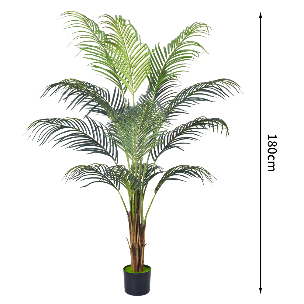 Phoenix Palm-A de 6 pieds/180 cm