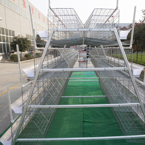 4000 Chim Gia Cầm Trang Trại Thiết Kế Pin Trứng Gà Hai Lớp Lồng Gia Cầm Lồng Bán Cho Ghana Trang Trại Tại Nhà Máy Giá - Product Image 4