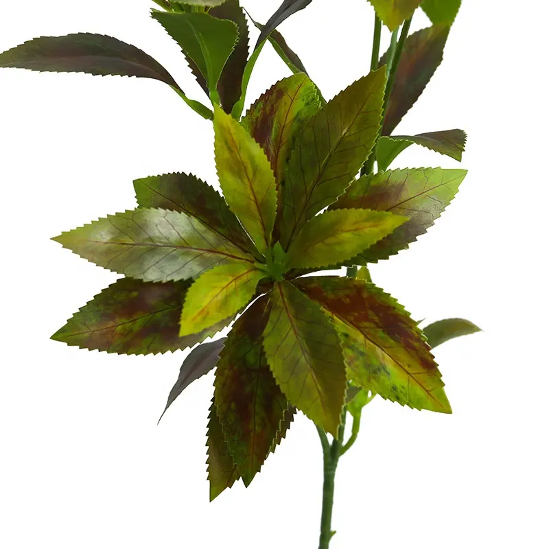  Natural Color Artificial Japanese Andromeda Leaves Artificial Leaves Bouquet Wedding Decoration Plant