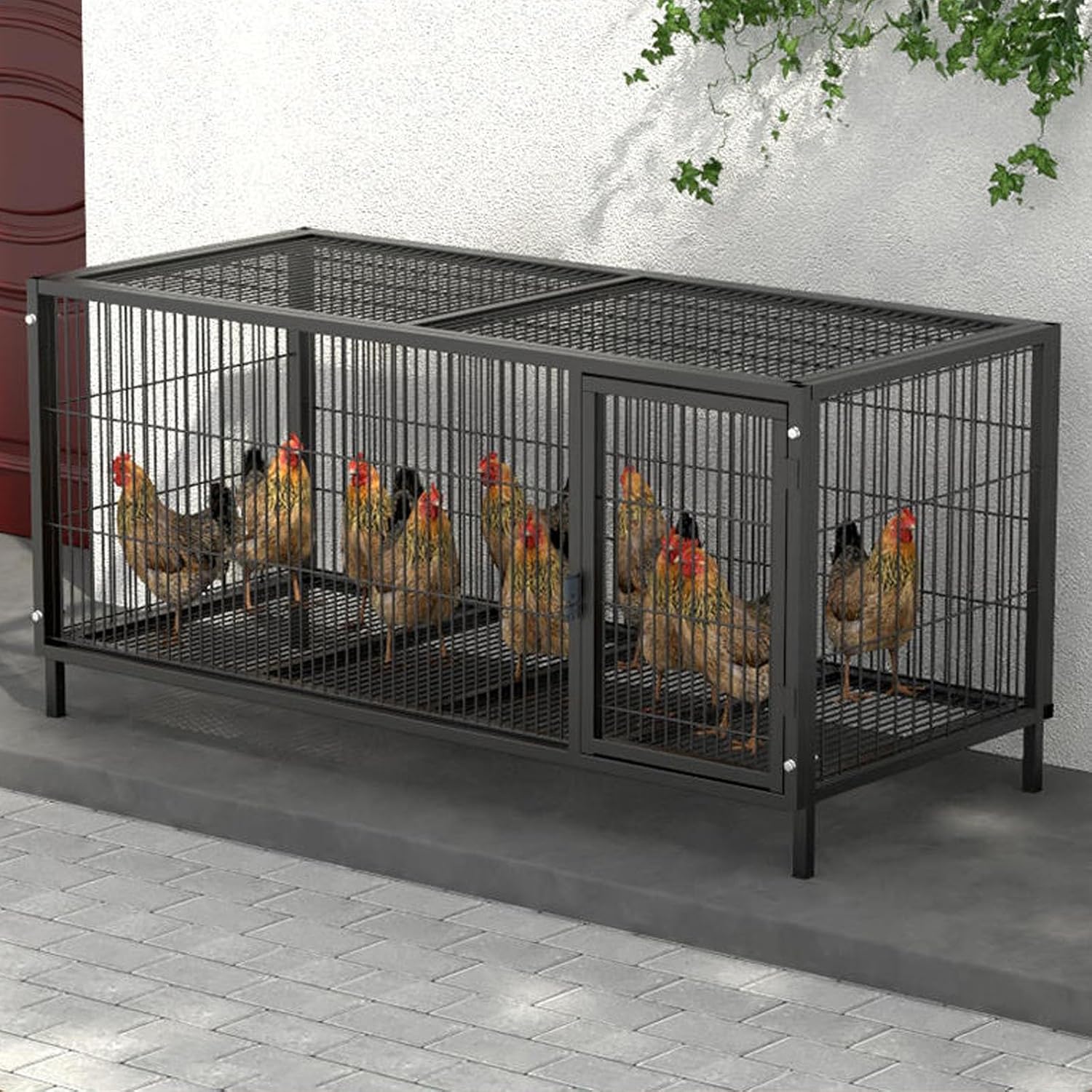 without egg tray