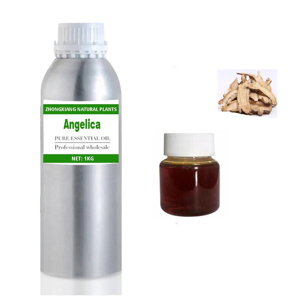 Wholesale Pure Natural Private Label Angelica Root Oil Factory Supply Angelica Essential Oil For Body Care
