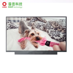 K&amp;D 13.3 Inch <strong>Lcd</strong> Module <strong>Edp</strong> 1.2(2lane) <strong>Interface</strong> 30PIN IPS TFT <strong>LCD</strong> Module for Notebook High Quality <strong>Lcd</strong> Touch <strong>Display</strong> - Product Image 5