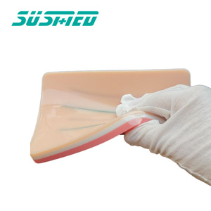 Lehrmittel Chirurgisches Nahen hauhauht ubungen Silikon kissen mod elle - Product Image 5