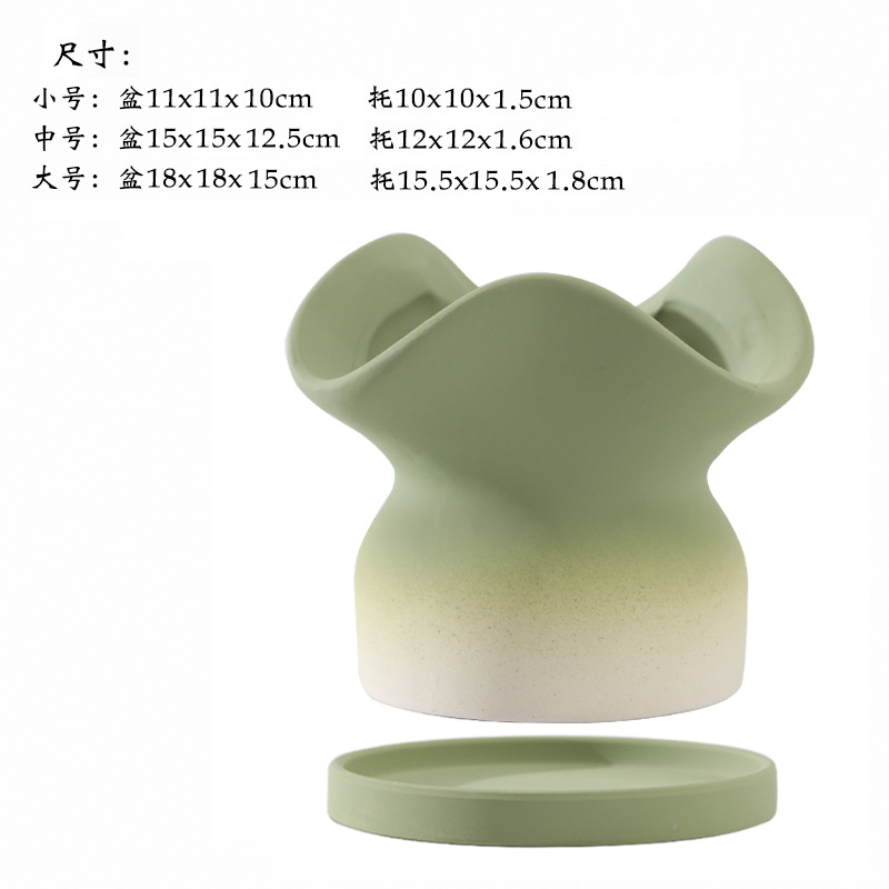 Three flowers gradually change to olive green
