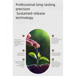 Chất lượng cao kiểm soát phát hành NPK chậm phát hành pha trộn phân bón hợp chất phân bón - Product Image 3
