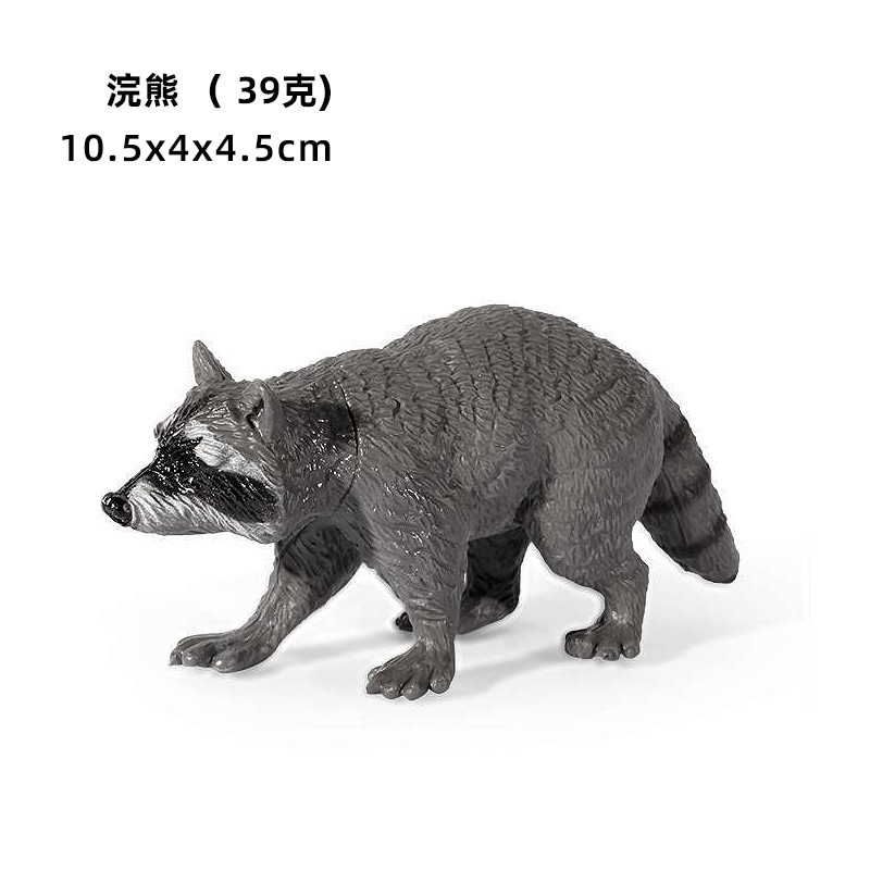 Mapache