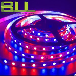 แถบไฟ LED IP65พิกเซลแบบอัจฉริยะสามารถตัดได้ SMD5050 WS2811 30LED IC ต่อเมตร - Product Image 2