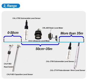 Cippus เซ็นเซอร์ระดับของเหลว RS485 CAL-C 4-20mA ระดับน้ำมันเชื้อเพลิงดีเซลแบบจุ่ม - Product Image 2