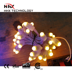 100ct DC12V WS2811 bullet led pixel с разъемом Ray wu 13,5 мм - Product Image 2