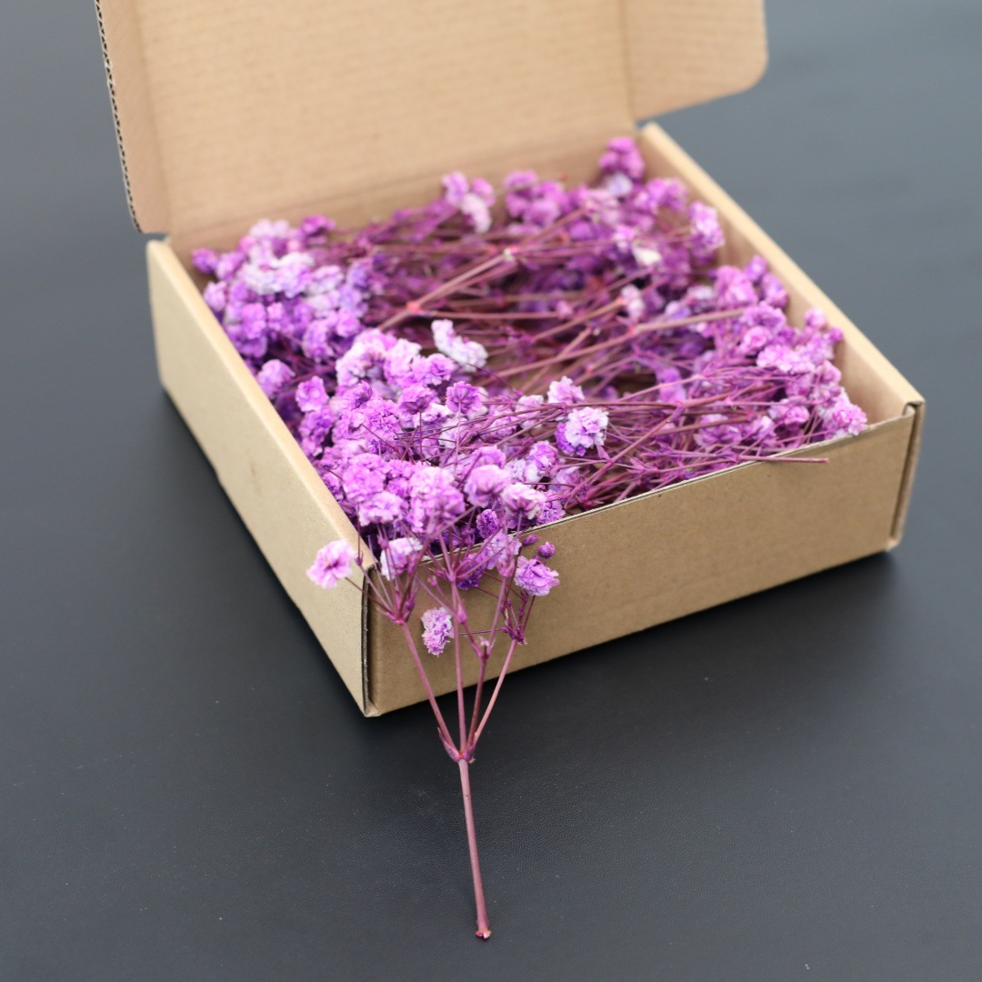 Light purple