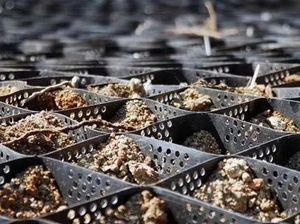 土壤稳定蜂窝HDPE土工格室供应商蜂窝约束系统 - Product Image 5