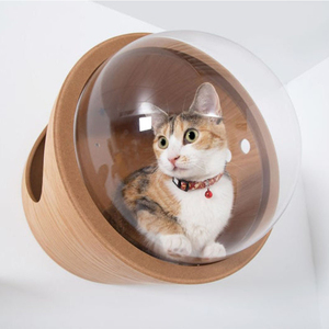 2024 yeni kedi uzay kapsülü kedi yuva duvara monte ahşap Pet ev kapsül duvar kedi tırmanma