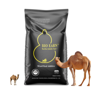 Nouvel arrivage d'alimentation de volaille chlorure de caféine 60% épi de maïs - Product Image 4