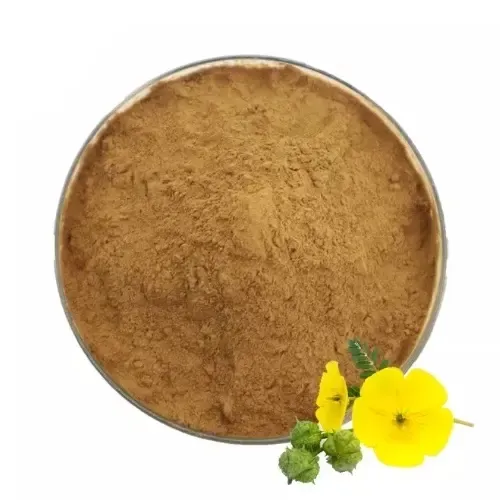 순수 자연 건강 보충제 Tribulus Terrestris 사포닌 분말 40% Tribulus Terrestris 추출물 분말