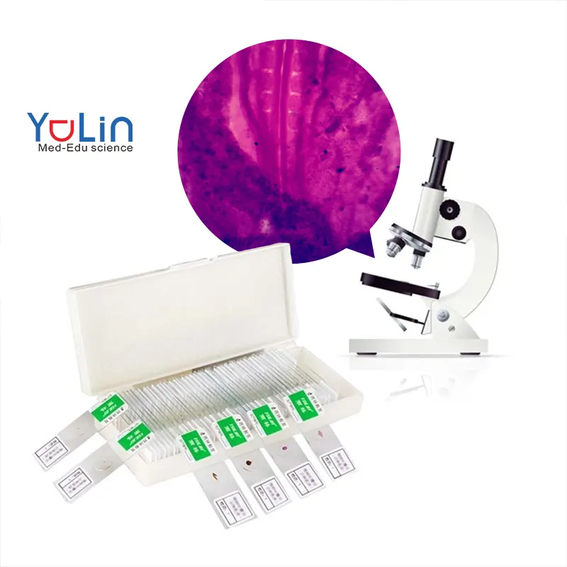 Équipement éducatif d'usine, science médicale biologique Standard, enseignement médical microscope préparé lames en verre de silane