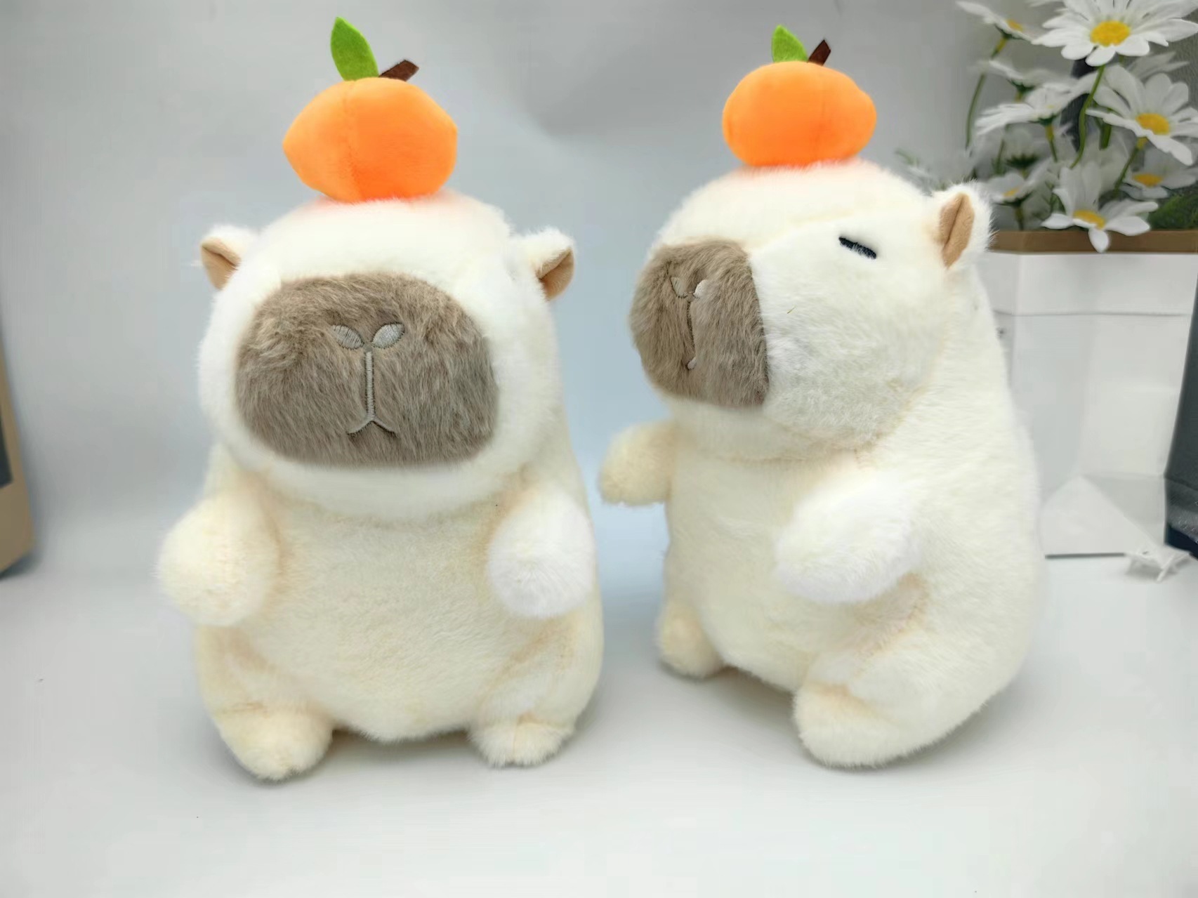 Capybara orange
