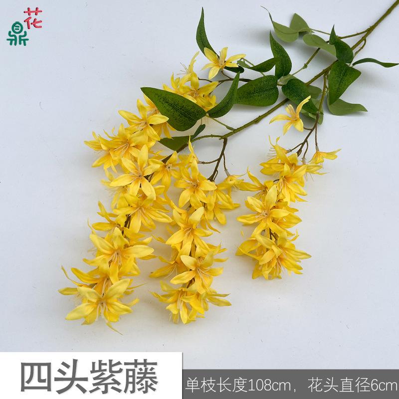 Cuatro Wisteria zlz amarillo