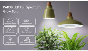 <span class=keywords><strong>Led</strong></span> phát triển ánh sáng bóng đèn PAR38 15 Wát quang phổ đầy đủ phát triển ánh sáng phát triển vườn trong nhà 1050 lumens Ra>90 trắng 90 ABS 70 nhà máy phát triển jnc - Product Image 2