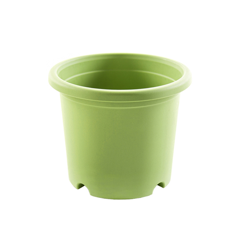 Verde chiaro