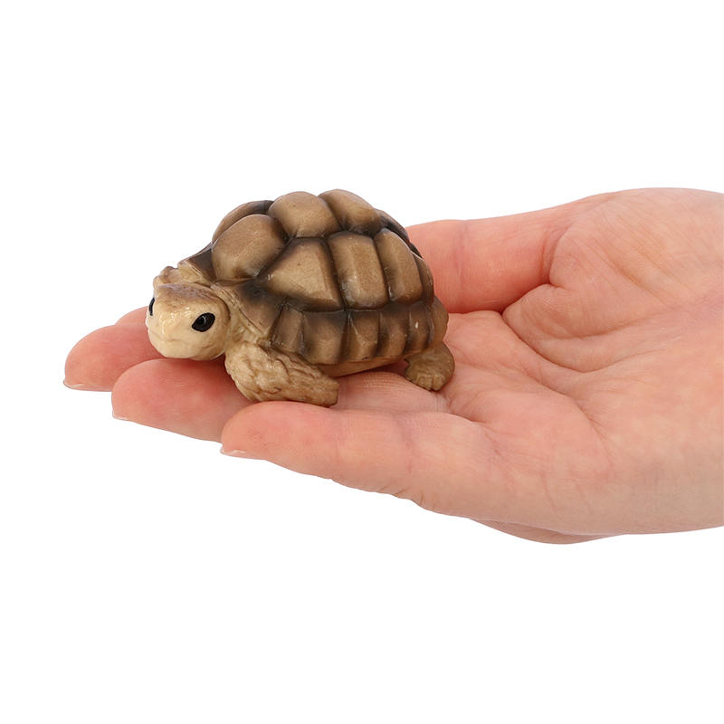 4143 tortuga